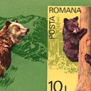 Anul European al Ocrotirii Naturii