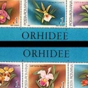 Orhidee