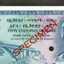 50 Dollars