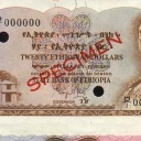 20 Dollars