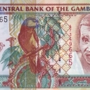 100 Dalasis