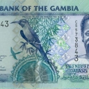25 Dalasis