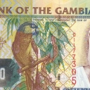 100 Dalasis