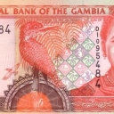 5 Dalasis