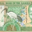 10 Dalasis
