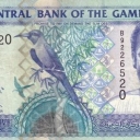 25 Dalasis