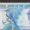 25 Dalasis