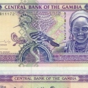 50 Dalasis