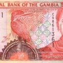 5 Dalasis