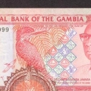5 Dalasis