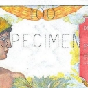 100 Piastres