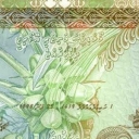 10 Rufiyaa