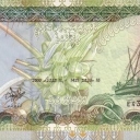 100 Rufiyaa