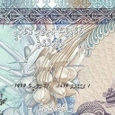 5 Rufiyaa
