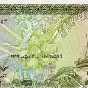 2 Rufiyaa