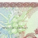20 Rufiyaa