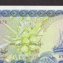 50 Rufiyaa