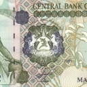 20 Maloti