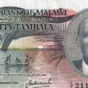 50 Tambala