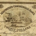 20 Dollars