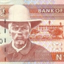 20 Dollars