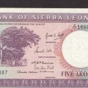 5 Leones