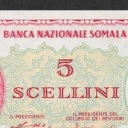 5 Schellini