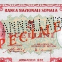 5 Scellini