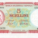 5 Scellini