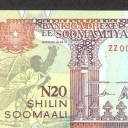20 Shilin