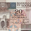 20 Shilin