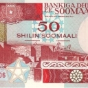 50 Shilin