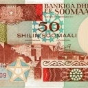 50 Shilin