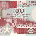 50 Shilin