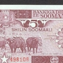 5 Shilin