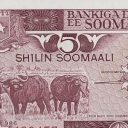 5 Shilin