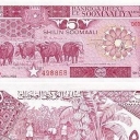 5 Shilin