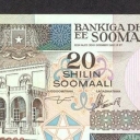 20 Shilin
