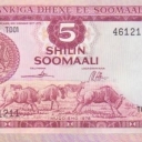 5 Shilin