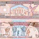 20 Shillings