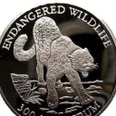 300 Ngultrum
