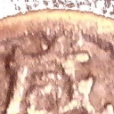 1 Cash