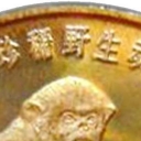 5 Yuan