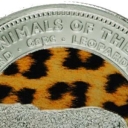 1 Dollar