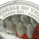 1 Dollar