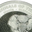 1 Dollar