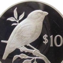 10 Dollars
