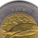 5 Dollars