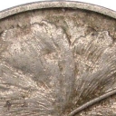 5 Cents