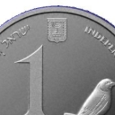 1 New Sheqel